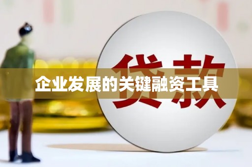 六脚企业发展的关键融资工具