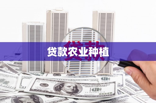 六脚贷款农业种植