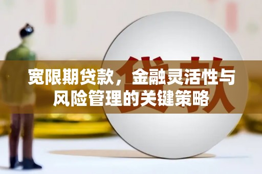 六脚宽限期贷款，金融灵活性与风险管理的关键策略