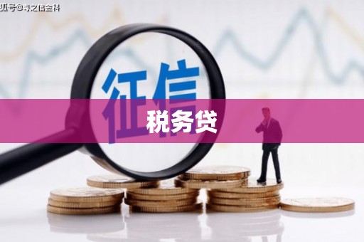 六脚税务贷