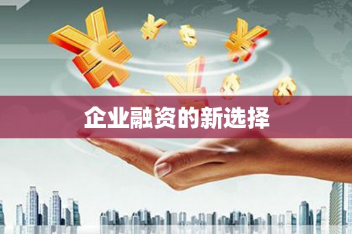 六脚企业融资的新选择