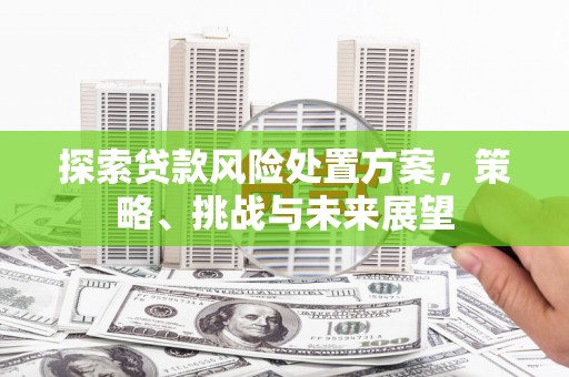 六脚探索贷款风险处置方案，策略、挑战与未来展望