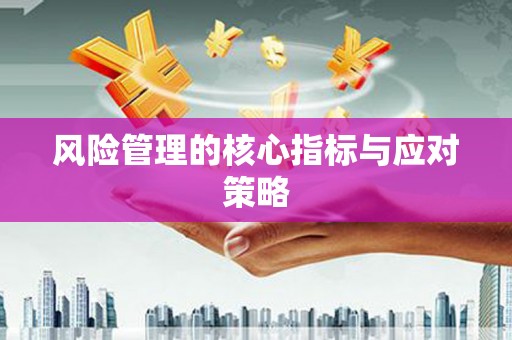 六脚风险管理的核心指标与应对策略