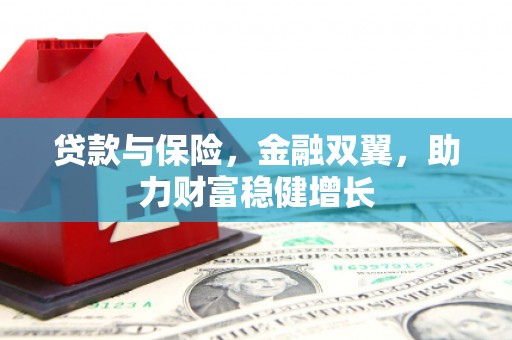 六脚贷款与保险，金融双翼，助力财富稳健增长