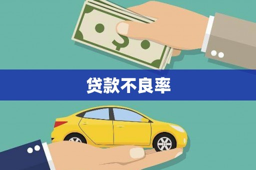 六脚贷款不良率