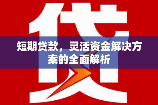 六脚短期贷款，灵活资金解决方案的全面解析