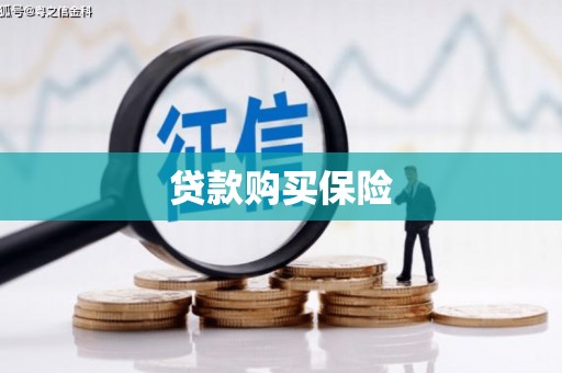 六脚贷款购买保险