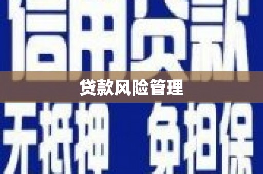 六脚贷款风险管理