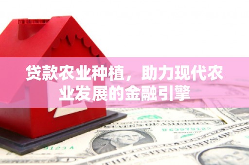 六脚贷款农业种植，助力现代农业发展的金融引擎