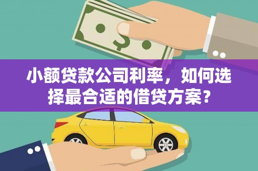 六脚小额贷款公司利率，如何选择最合适的借贷方案？