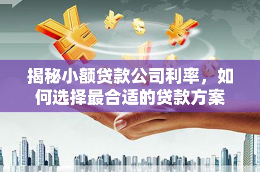 六脚揭秘小额贷款公司利率，如何选择最合适的贷款方案
