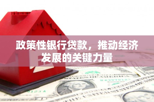六脚政策性银行贷款，推动经济发展的关键力量