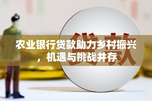 六脚农业银行贷款助力乡村振兴，机遇与挑战并存