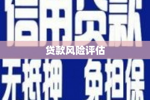 六脚贷款风险评估