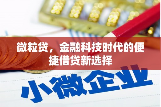 六脚微粒贷，金融科技时代的便捷借贷新选择