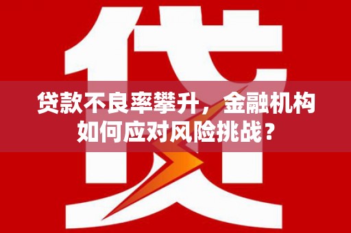 六脚贷款不良率攀升，金融机构如何应对风险挑战？