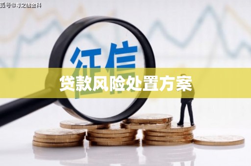 六脚贷款风险处置方案