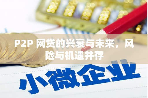 六脚P2P 网贷的兴衰与未来，风险与机遇并存
