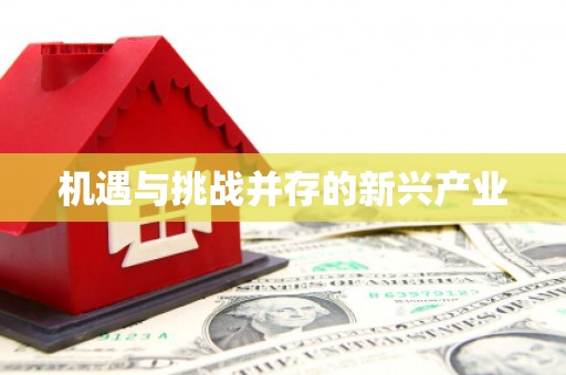 六脚机遇与挑战并存的新兴产业
