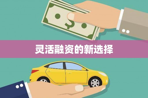 六脚灵活融资的新选择