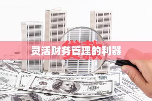 六脚灵活财务管理的利器