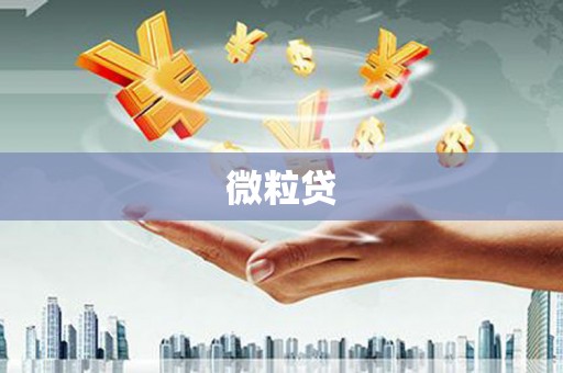 六脚微粒贷
