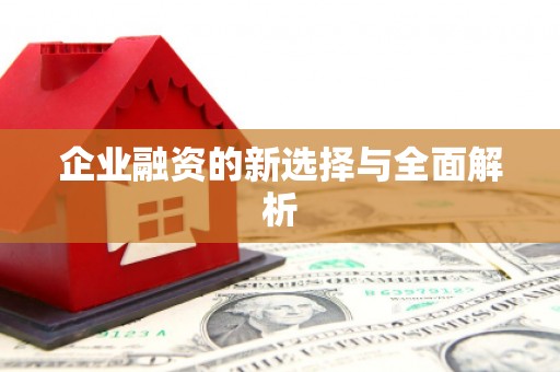 六脚企业融资的新选择与全面解析