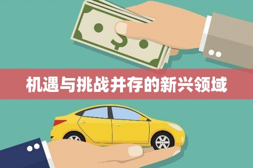 六脚机遇与挑战并存的新兴领域