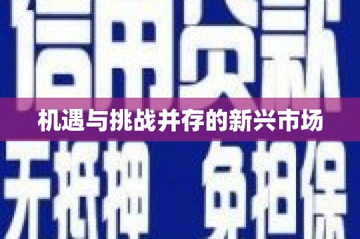 六脚机遇与挑战并存的新兴市场