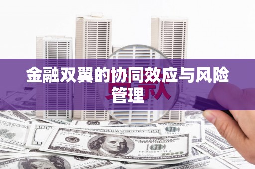 六脚金融双翼的协同效应与风险管理