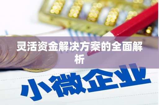 六脚灵活资金解决方案的全面解析