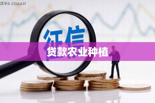 六脚贷款农业种植