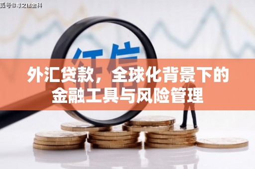 六脚外汇贷款，全球化背景下的金融工具与风险管理
