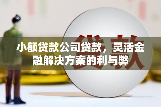 六脚小额贷款公司贷款，灵活金融解决方案的利与弊
